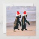 Recherche de pingouin mignon vœux cartes Faune