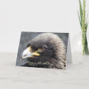 Recherche de aigles vœux cartes Nature