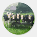 Recherche de irlande magnets Mignon