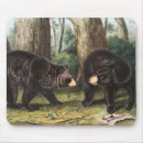 Recherche de bear mousepads Wildlife