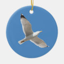 Recherche de crâne animal ornements Oiseau