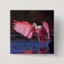 Recherche de petit oiseau badges Élégant