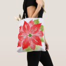 Recherche de poinsettia rouge sacs Plante