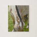Zoek naar paarden puzzels Ruiter