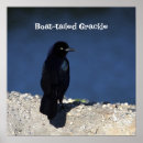 Recherche de de bateau posters Photographe