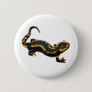 Recherche de salamandres badges Amphibie