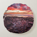 Recherche de la jolla coussins Andrew shoemaker