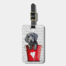 Recherche de dachshund accessoires Chiot
