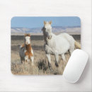 Recherche de chevaux sauvages tapis souris Cheval sauvage