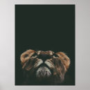 Recherche de lioness posters Noir