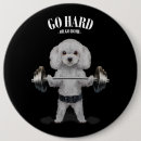 Recherche de caniche badges Chien de caniche