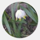 Recherche de beauté nature autocollants Floral