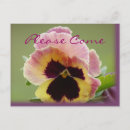 Recherche de pansy invitations Pansement