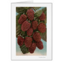 Recherche de chromo cartes postales Collection