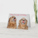 Recherche de gomme vœux cartes Dog