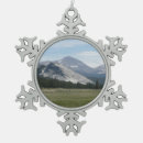 Recherche de nevada ornements Photographie