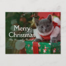 Recherche de russian blue cat cartes postales Christmas tree