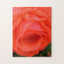 Recherche de parfum puzzles Rose