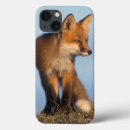 Recherche de mammifère coques Ak