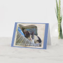 Zoek naar katten verjaardagskaarten Gelukkig