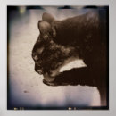 Recherche de films art Photographie