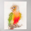 Recherche de perroquet vert posters Jolie