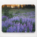 Recherche de adam tapis souris Fleur