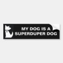 Recherche de dessus superbe Chien
