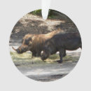 Recherche de warthog ornements Animal