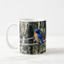 Recherche de jardins orientaux tasses Oiseau