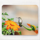 Recherche de faune et flore tapis souris Animal
