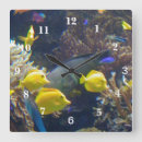 Recherche de corail horloges Anémone