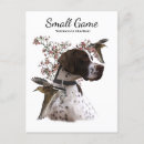 Recherche de becasse cartes postales Bécasse