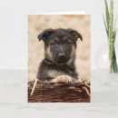 Recherche de panier en osier vœux cartes Animal
