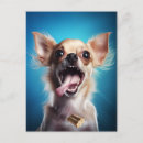 Recherche de chihhuahua cartes postales Pour elle