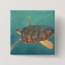 Recherche de tortue marine badges Animal marin