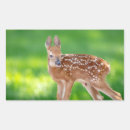 Recherche de faon autocollants Mammifère