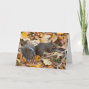 Recherche de écureuil gris vœux cartes Salutation