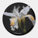 Recherche de fleur japonaise magnets Flore