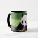 Recherche de ours panda géant tasses Animaux