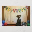 Recherche de chocolat labrador invitations Chiot