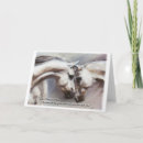 Recherche de cheval arabe blanc cartes postales Jument