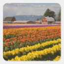 Recherche de fleurs tulipe autocollants Vallée du skagit
