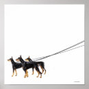 Zoek naar veterinair posters Honden