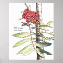 Recherche de arbre celtique posters Païen