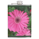 Recherche de gerbera Rouge