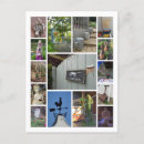 Recherche de horticulture cartes postales Vert