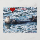 Recherche de amour de loutre cartes postales Animaux