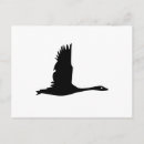 Recherche de oies sauvages cartes postales Animal