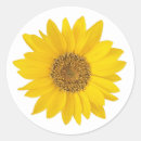 Zoek naar zonnebloemen stickers Zonnig